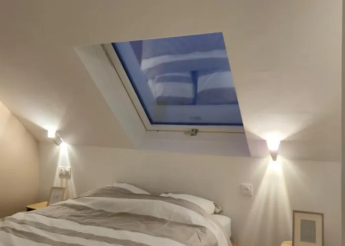 Combles Dans Le Quartier De La Gare De Strasbourg